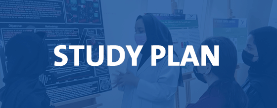 Study plan