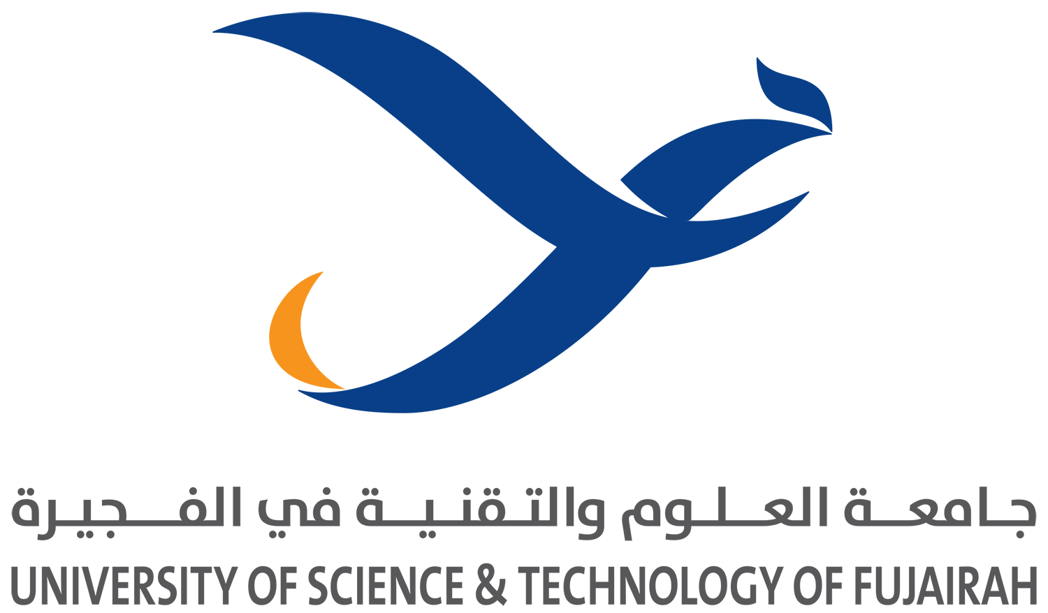 جامعة العلوم والتقنية في الفجيرة